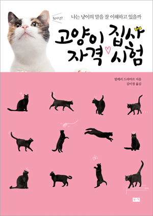 고양이 집사 자격 시험